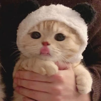 فضل الرحمان avatar